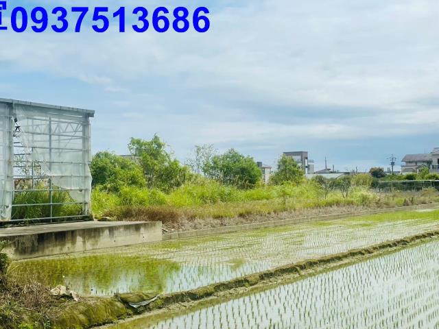 員山溫室-11