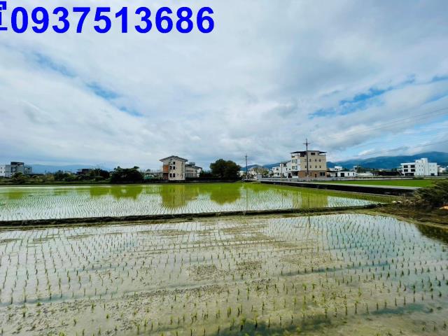 員山溫室-4