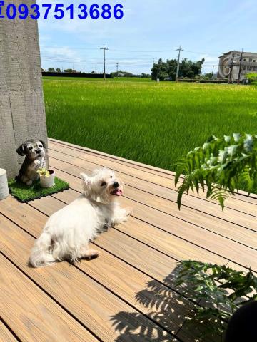 宜蘭壯圍華廈-12