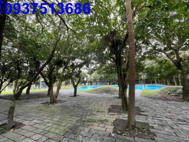 礁溪華廈-13