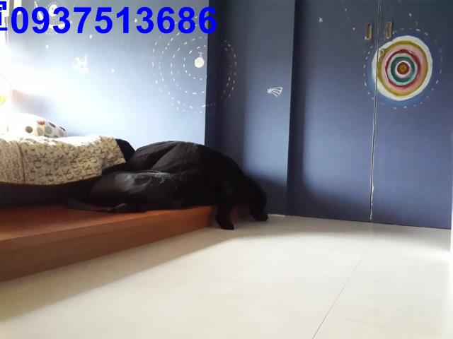 宜蘭礁溪大樓-3