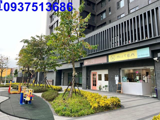 宜蘭宜蘭市大樓-0