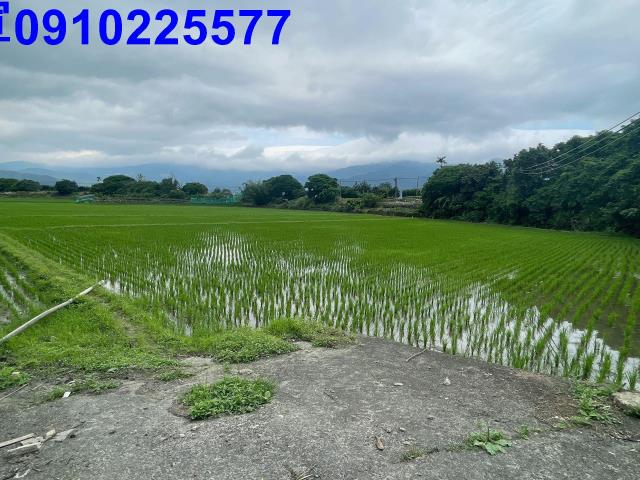 宜蘭農地-2