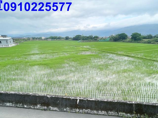 宜蘭農地-5