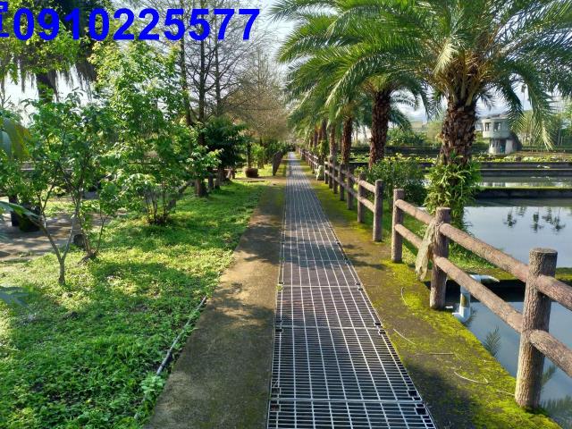 員山農地-8