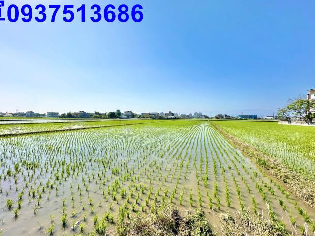 宜蘭農地-0