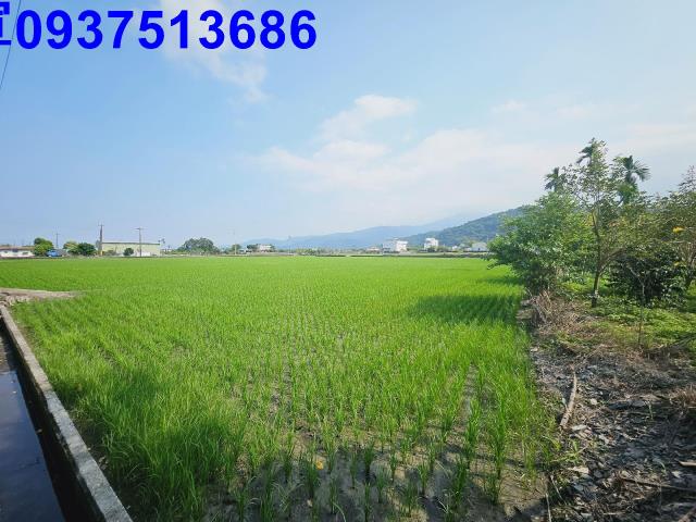 冬山農地-14