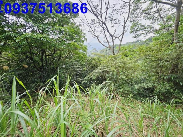 宜蘭大同原住民保留地-6