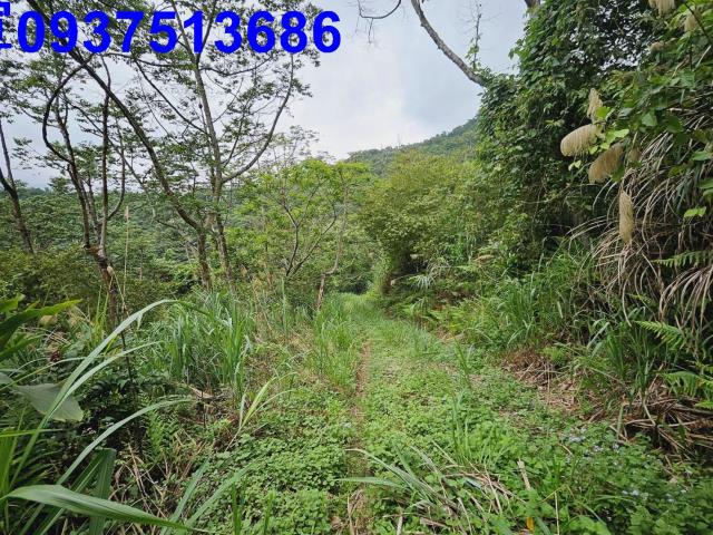 宜蘭大同原住民保留地-8