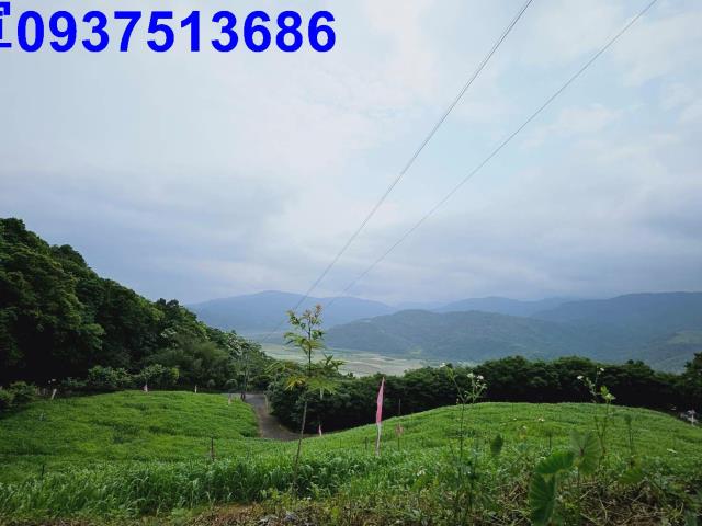 宜蘭五結原住民保留地-9