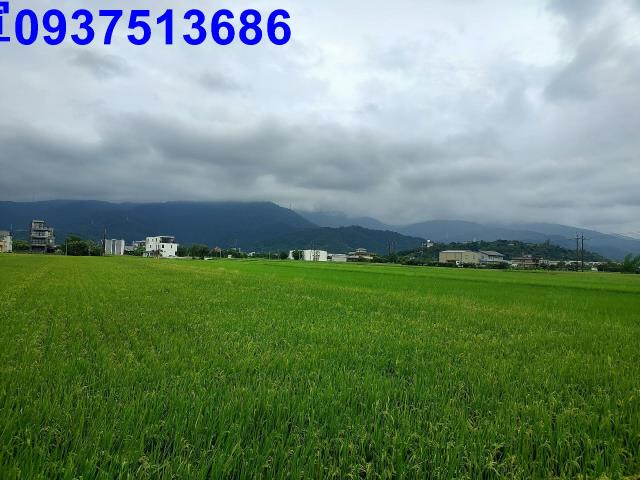 宜蘭冬山農地-9