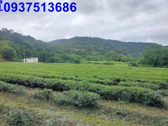 宜蘭冬山農地-12