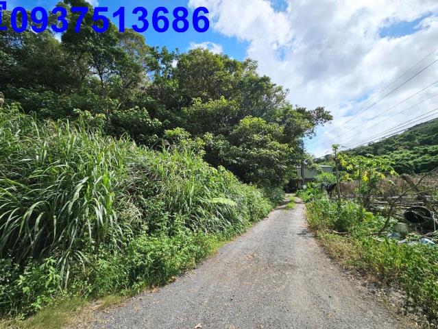 頭城山坡地-14