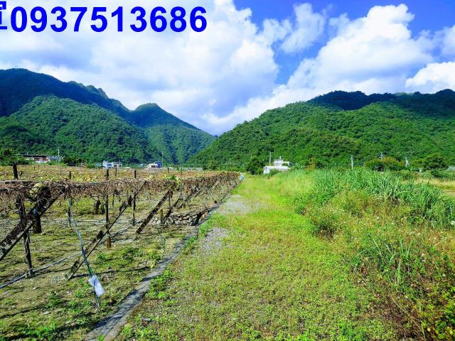 員山農地-0