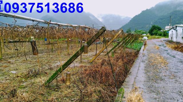 員山農地-7