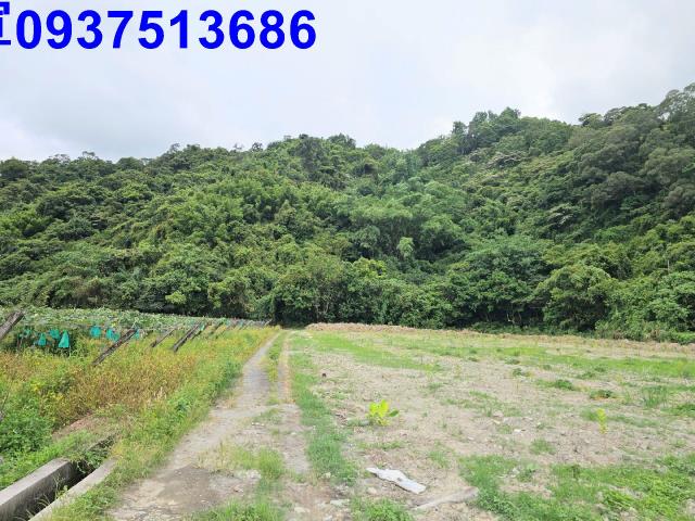 員山農地-0