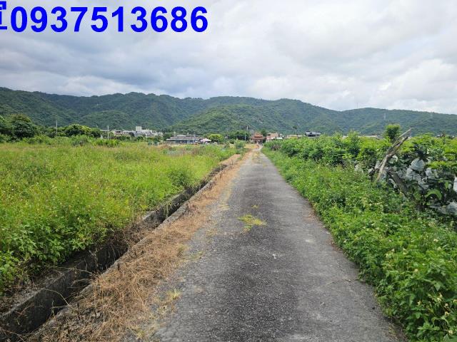 員山農地-5