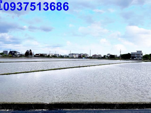 宜蘭宜蘭市農地-5