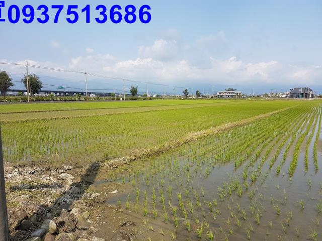 壯圍農地-2