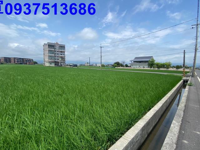 宜蘭壯圍農地-1