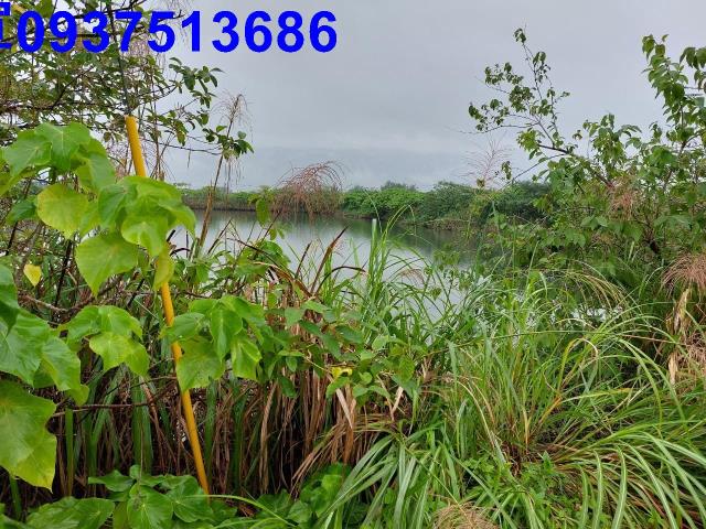 宜蘭礁溪農地-7