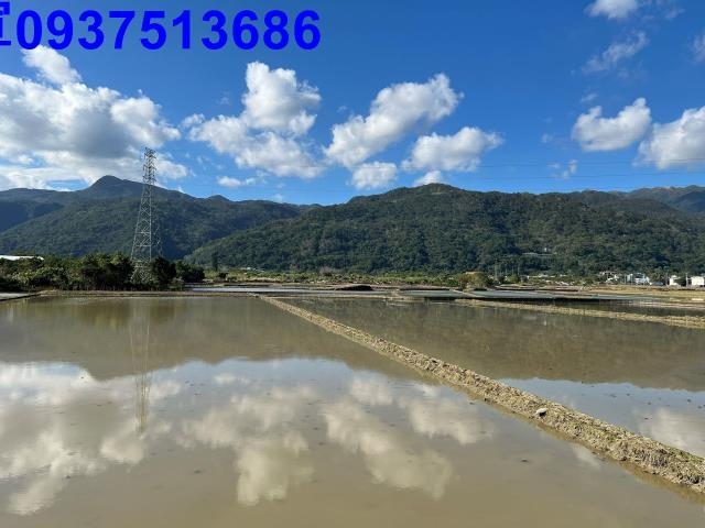 頭城農地-6