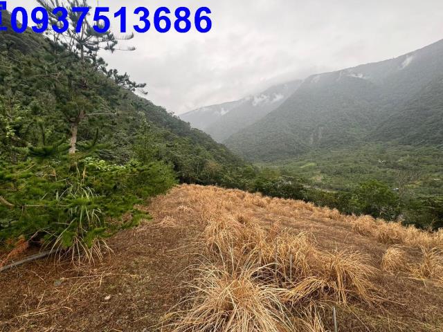 宜蘭南澳農地-4