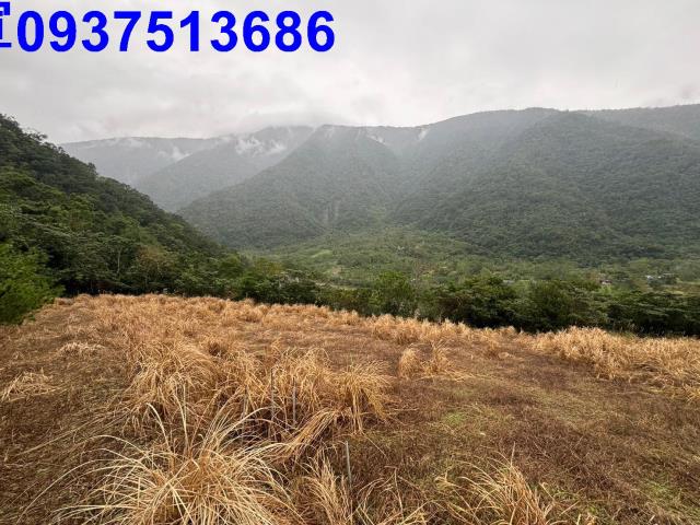 宜蘭南澳農地-1