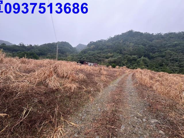 宜蘭南澳農地-2