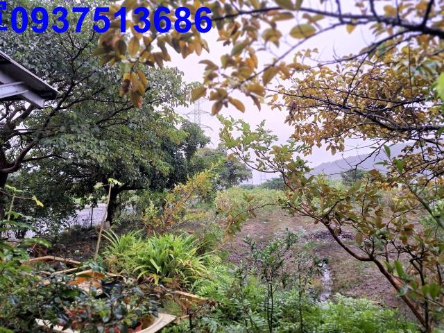 宜蘭員山農地-2