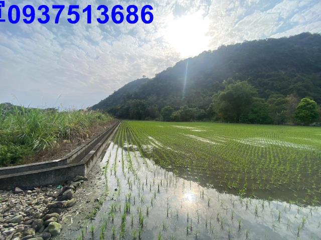 員山農地-1