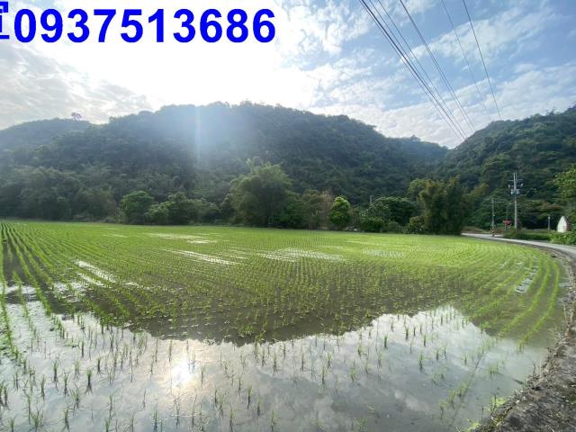 員山農地-6
