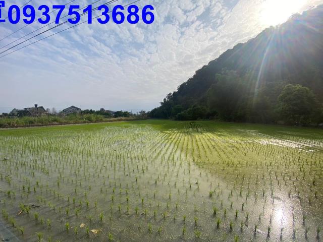 員山農地-8