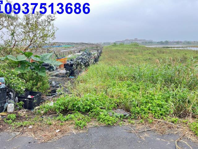 宜蘭壯圍農地-12
