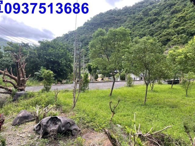 宜蘭員山山莊-1