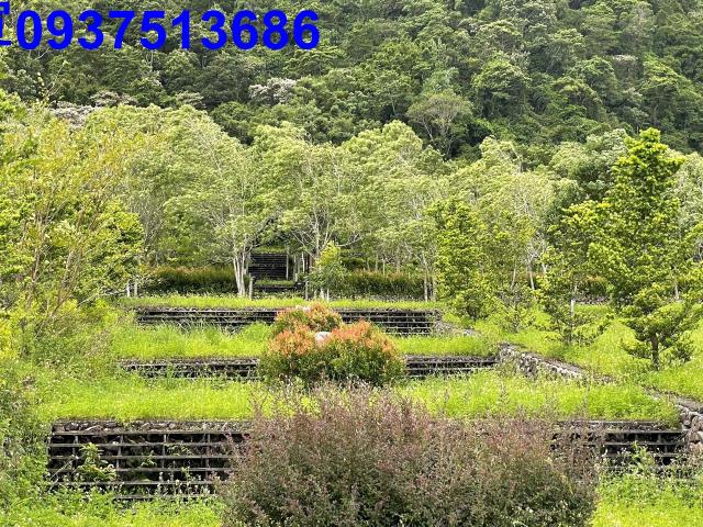 宜蘭員山山莊-3