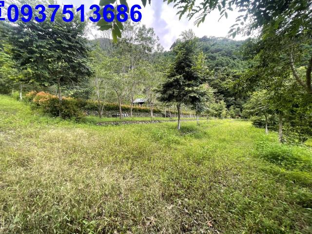 宜蘭員山山莊-8