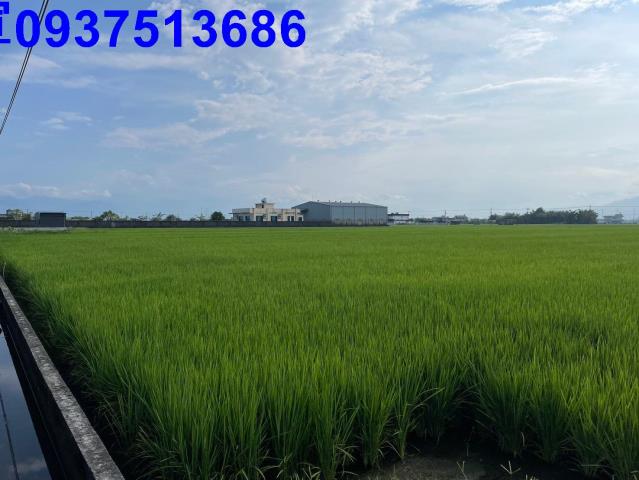 宜蘭壯圍農地-12