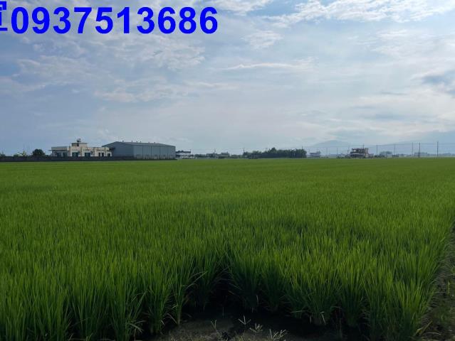 宜蘭壯圍農地-13