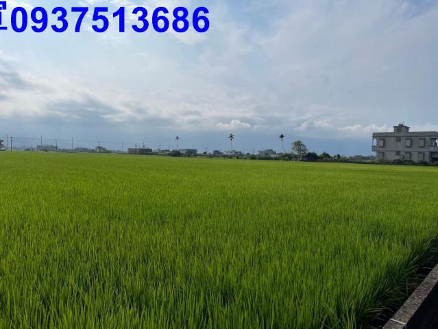 宜蘭壯圍農地-2