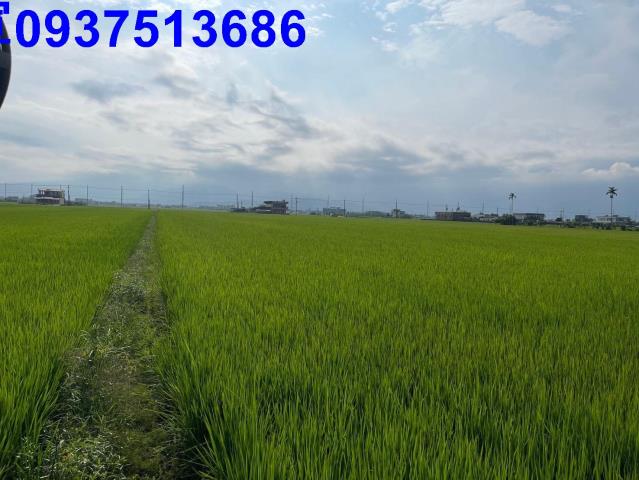 宜蘭壯圍農地-3