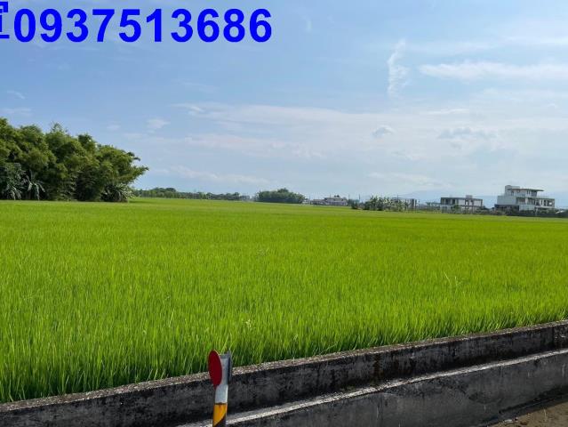 宜蘭礁溪農地-5