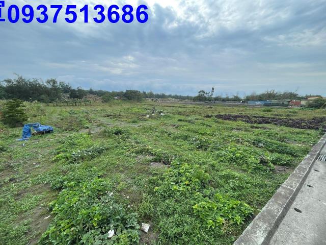 宜蘭農地-0