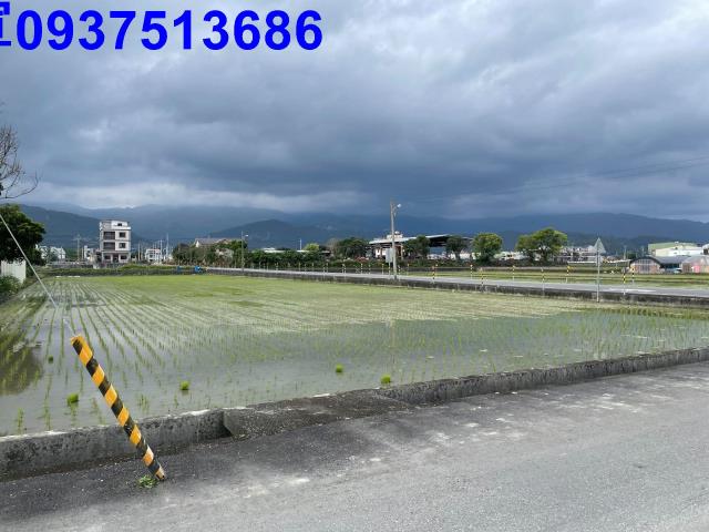 宜蘭宜蘭市農地-0