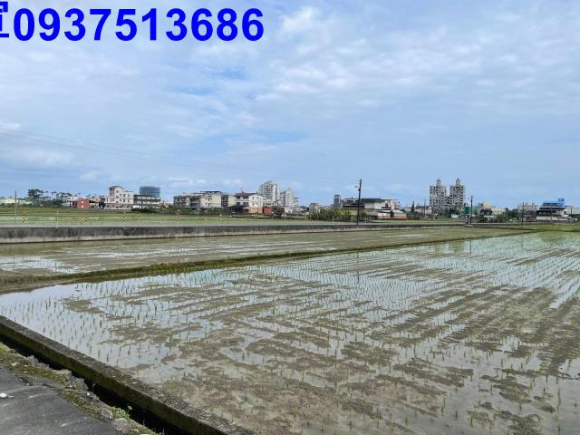 宜蘭宜蘭市農地-8