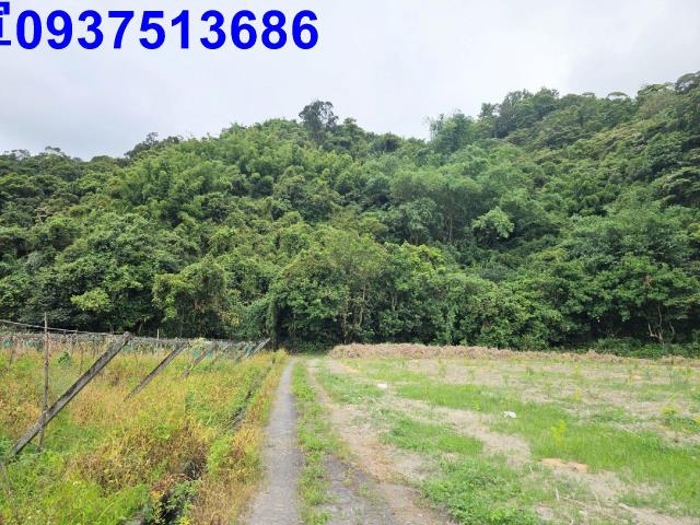 宜蘭員山山坡地-4