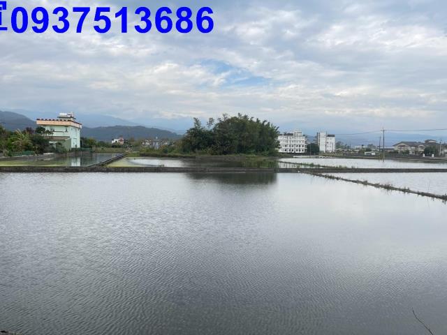 員山農地-5