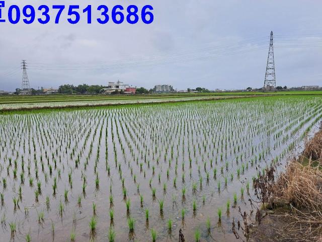 宜蘭農地-7
