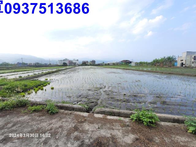 員山農地-2