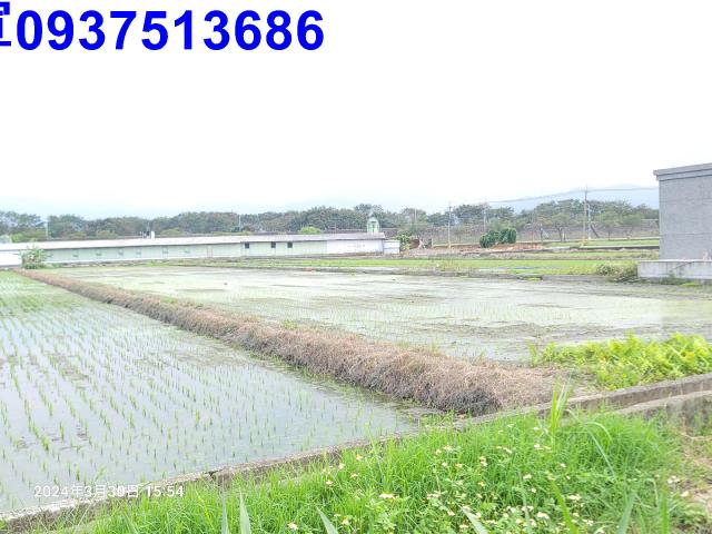 員山農地-6